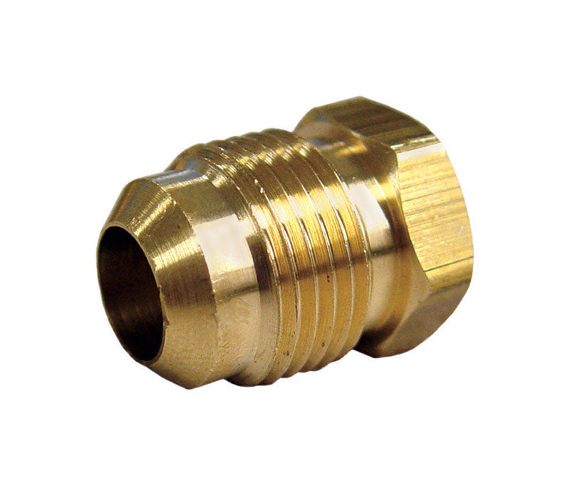 JMF COMPANY, JMF 1/4 in. Flare Yellow Brass Hex Plug (Pack of 10)