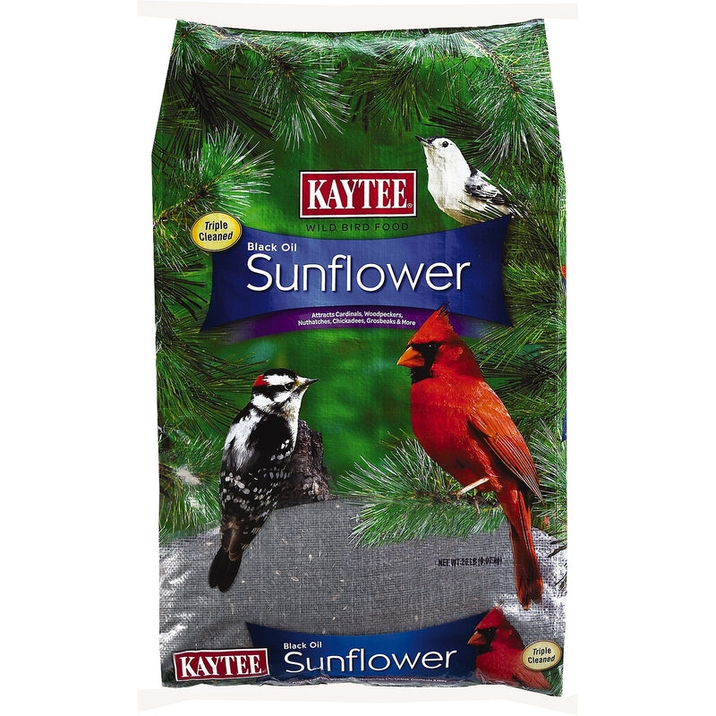 KAYTEE PRODUCTS INC., Kaytee Black Oil Sunflower Assorted Species Black Oil Sunflower Wild Bird Food Black Oil Sunflower Seed